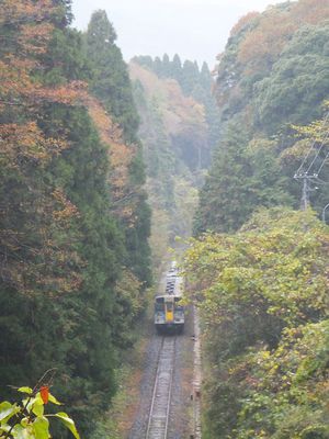 クリックでフルサイズのイメージを表示する